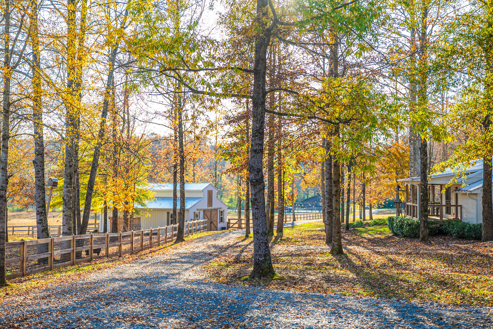View through the trees at Ten Talents Farm